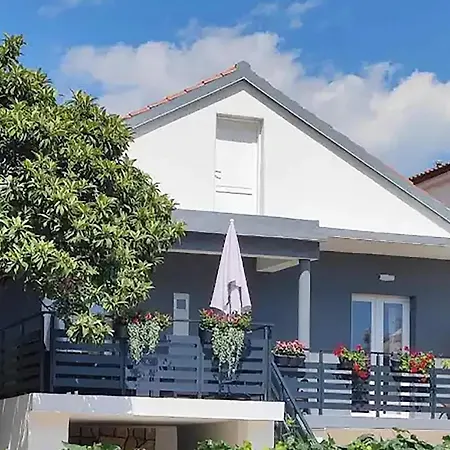 In 스베티필립아이자코브