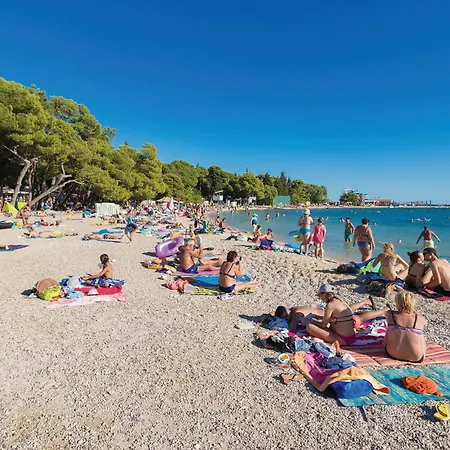 In * 스베티필립아이자코브