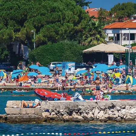 In * 스베티필립아이자코브