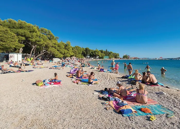 In * 스베티필립아이자코브